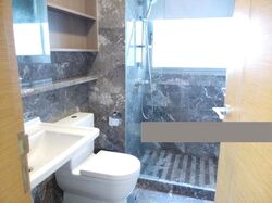 Suites @ Cairnhill (D9), Apartment #292994861